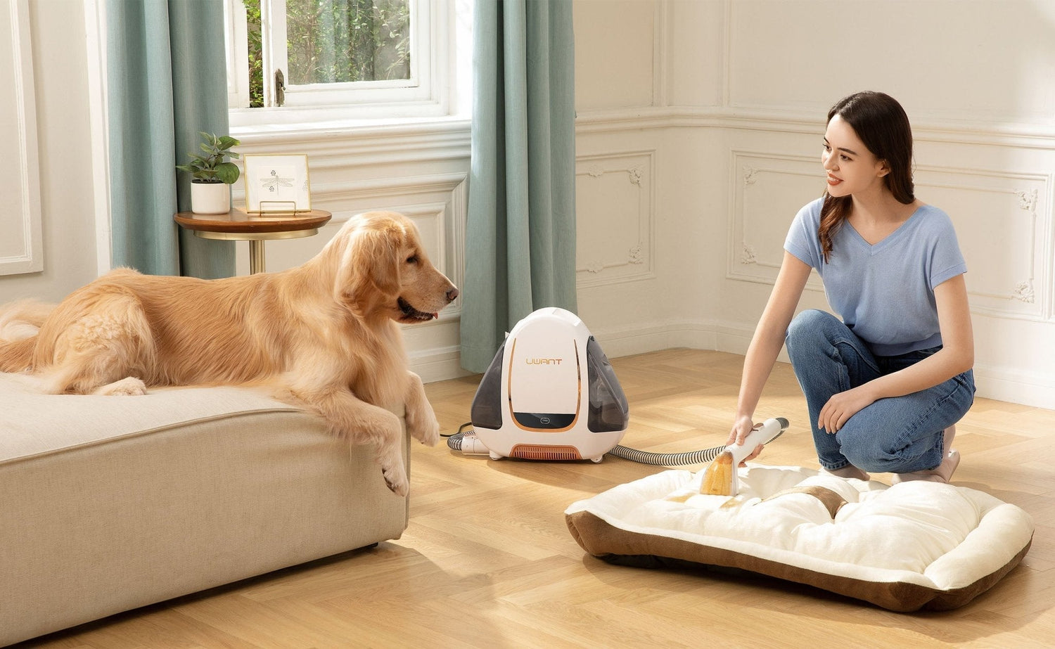 How to choose a Carpet Cleaner? - UWANT EU