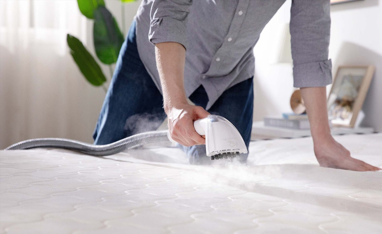 How to Choose a Steam Cleaner: A Simple Guide - UWANT EU