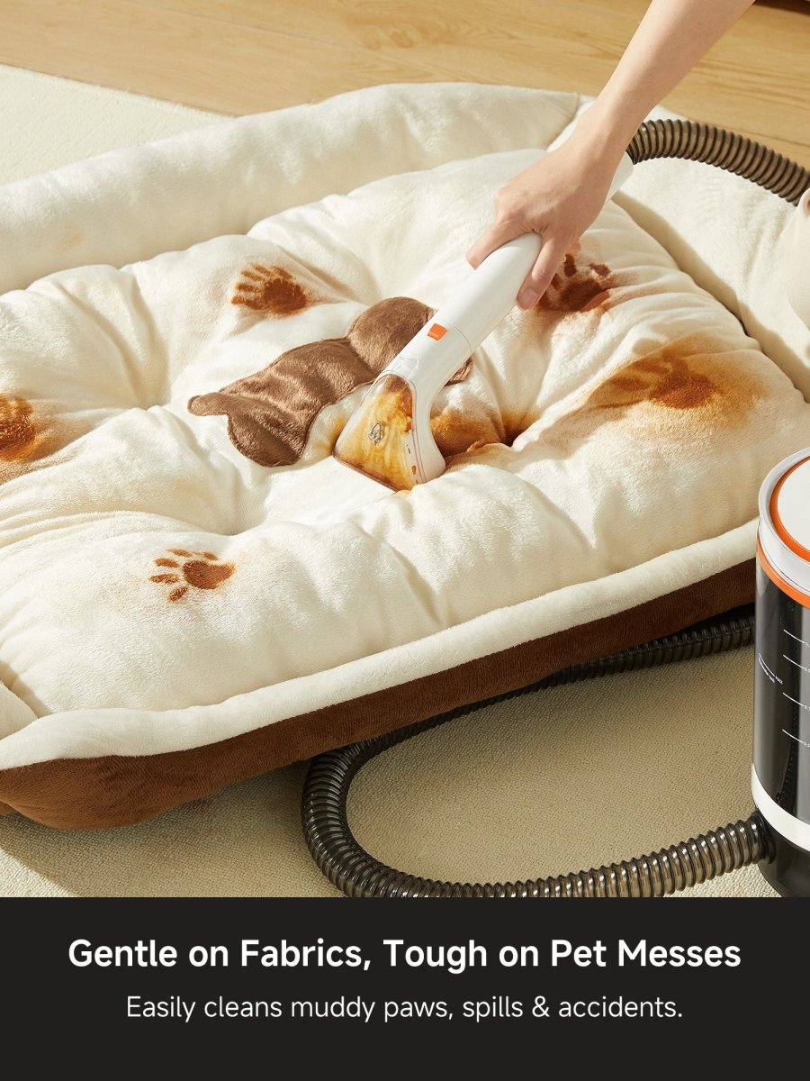 UWANT EUUWANT B300 Pro Quiet Clean Spot Cleaner Carpet CleanerSpot Cleaner