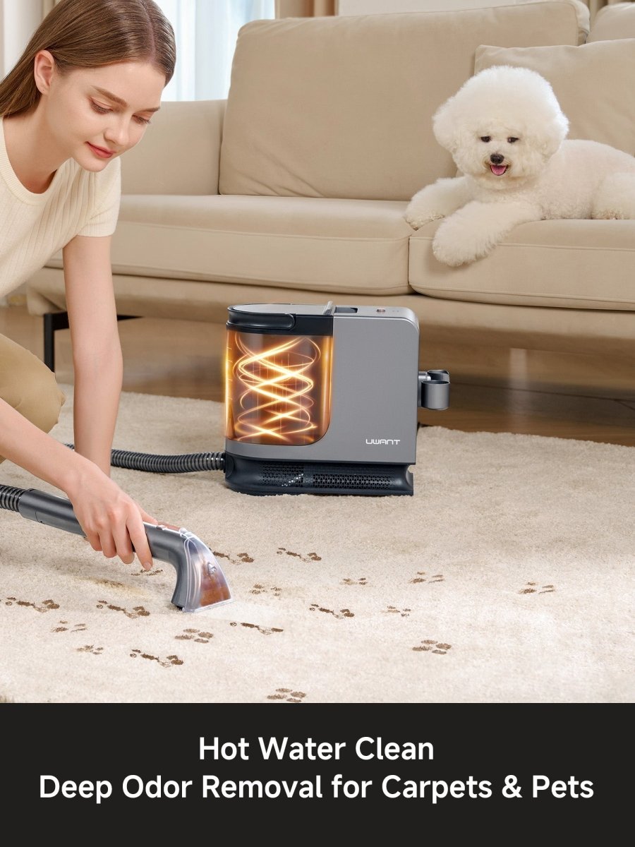 UWANT EUUWANT B400 Steam Cleaner Spot CleanerSpot Cleaner